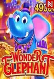 Wonder Elephant